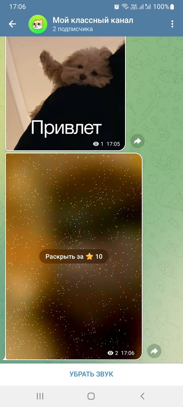 Отображение платного поста в канале